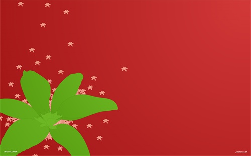 深色头发显老浅色,紫黑色头发适合气质出众的成熟女性